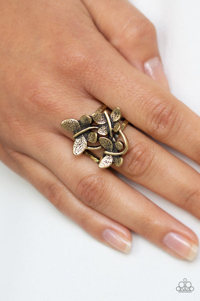 Full Of Flutter - Brass Ring - Paparazzi