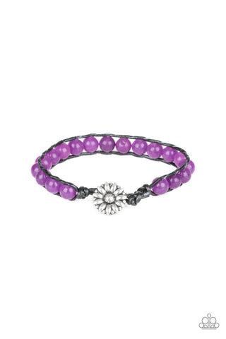 Daisy Guru - Purple